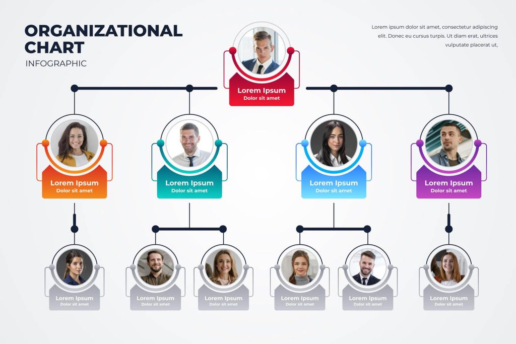 imagem de organograma empresarial